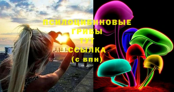 PSILOCYBIN Дмитриев