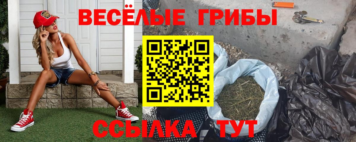 Галлюциногенные грибы GOLDEN TEACHER Белая Калитва